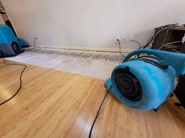 Reliable Basement Flood Cleanup contractor in Pasco, WA by Hirex Water Damage