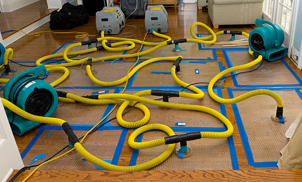 Professional Basement Flood Cleanup technician working in Pasco, WA